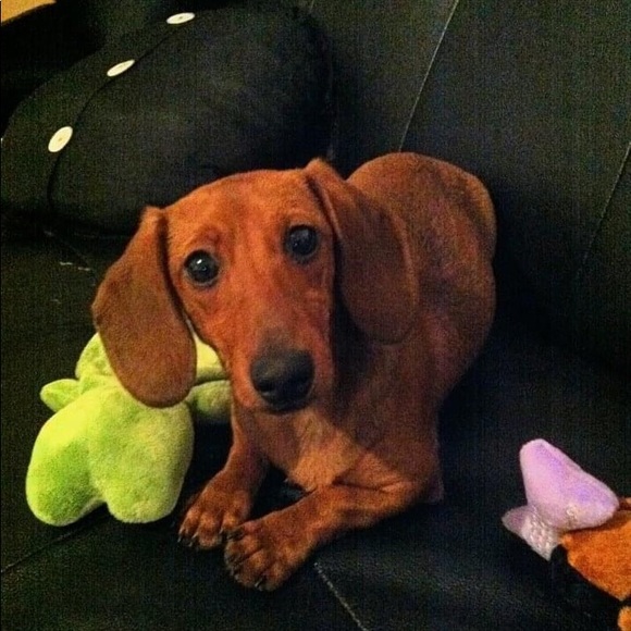 🐾🐾🩵🌊3/23 SHARE GROUP 🌊🩵🐾 - Picture 3 of 17